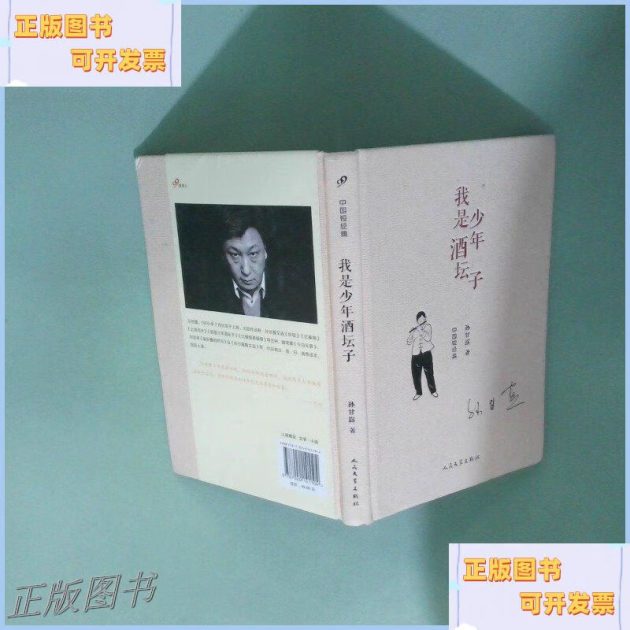 我是少年酒坛子/孙甘露缩略图