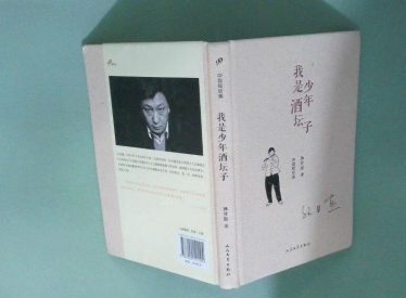 我是少年酒坛子/孙甘露缩略图