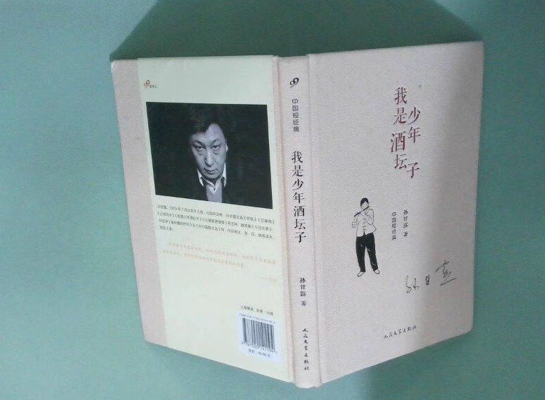 我是少年酒坛子/孙甘露缩略图