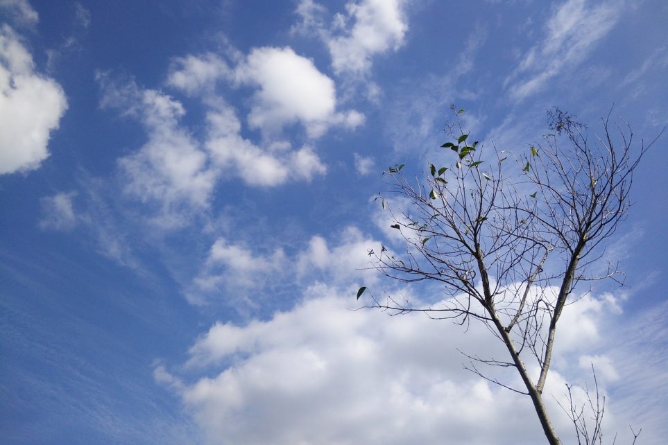 云间梦语缩略图