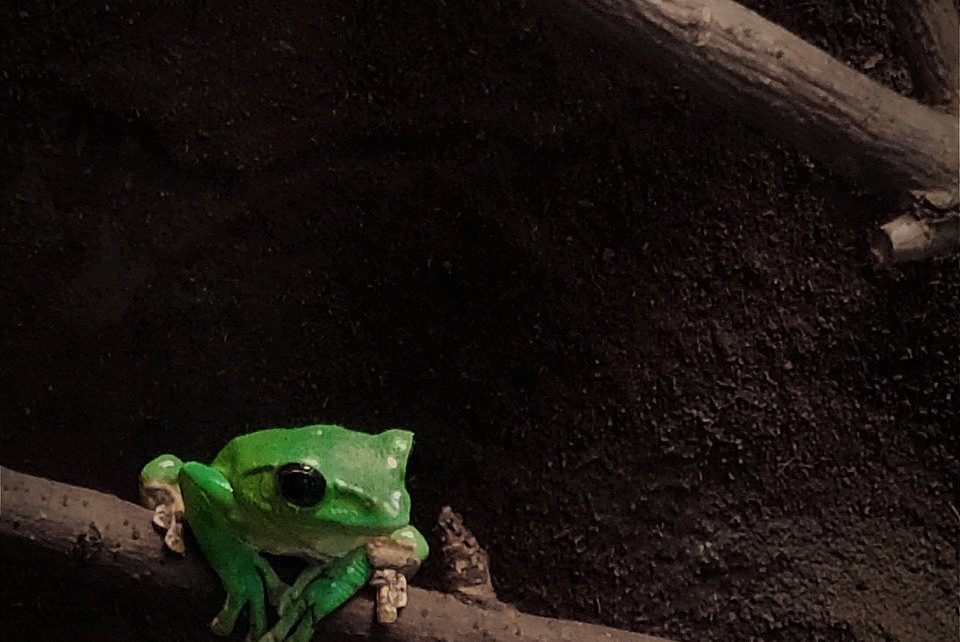 你已经不小了缩略图