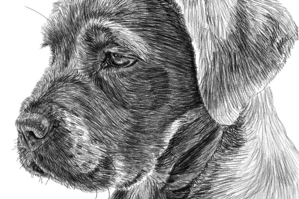 关于诗歌缩略图