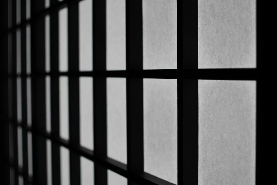 城市树木缩略图