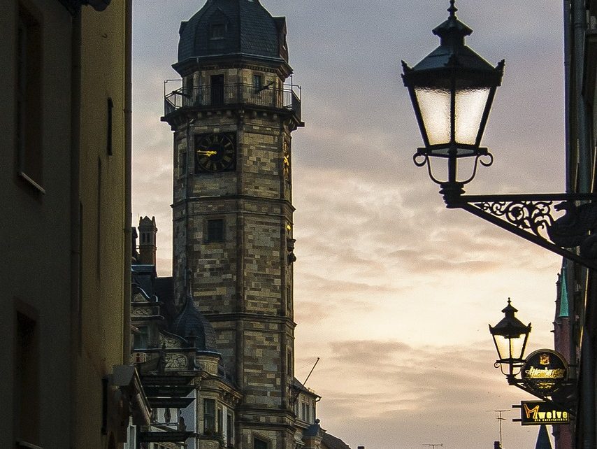 棕色的公马缩略图