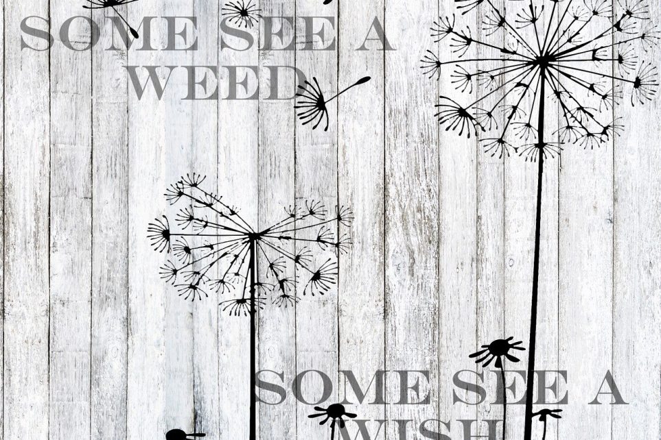 隐逸诗人缩略图