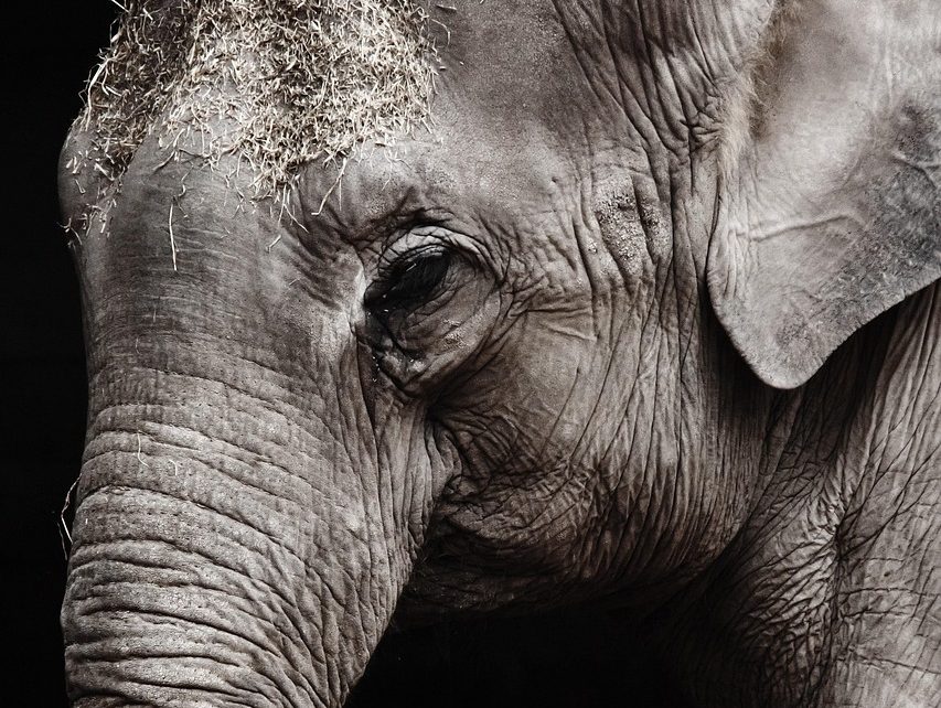 陶醉于表象之美缩略图